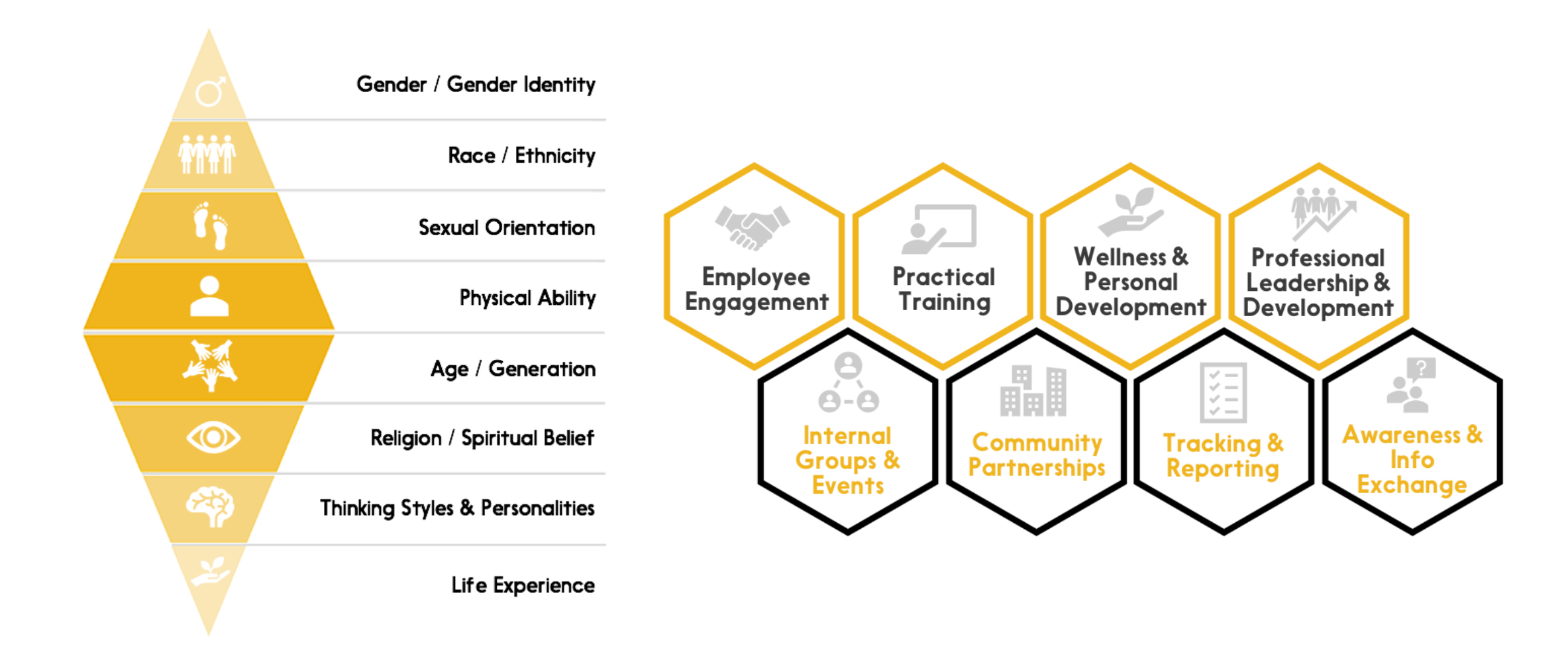 8 dimensions of demographic and cognitive diversity